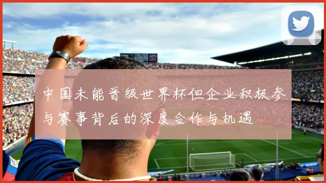 中国未能晋级世界杯但企业积极参与赛事背后的深度合作与机遇