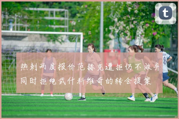 热刺两度报价范赫克遭拒仍不放弃同时拒绝武什科维奇的转会提案